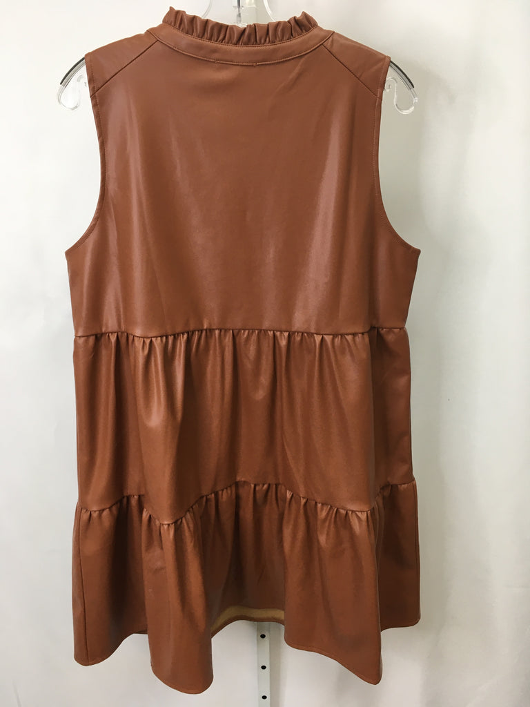 Size Large Skies are blue Brown Sleeveless Dress