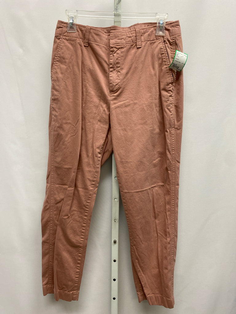 Gap Size 8 Mauve Pants