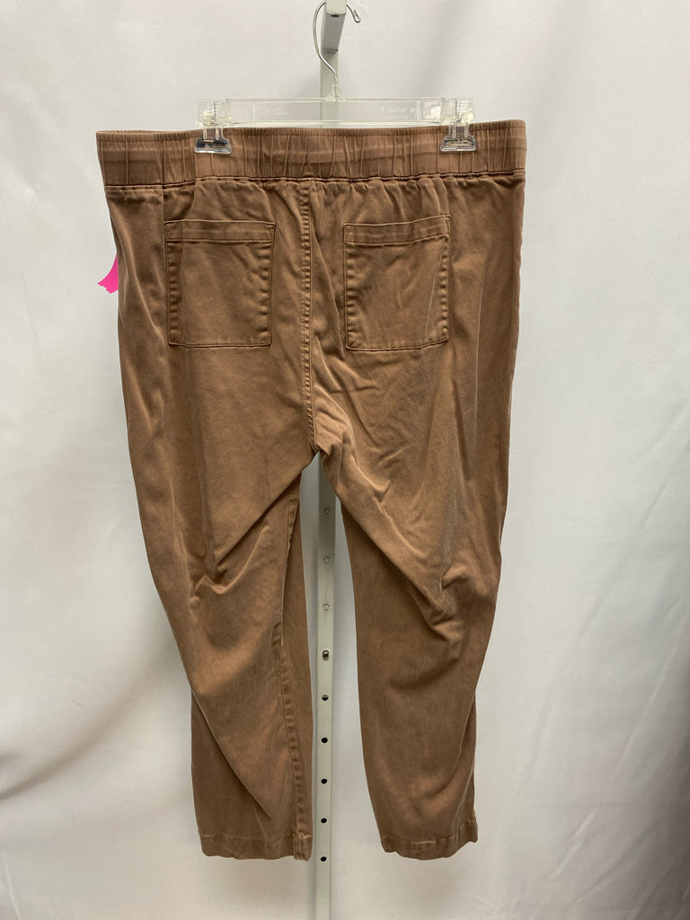 Buffalo Size Large Brown Pants