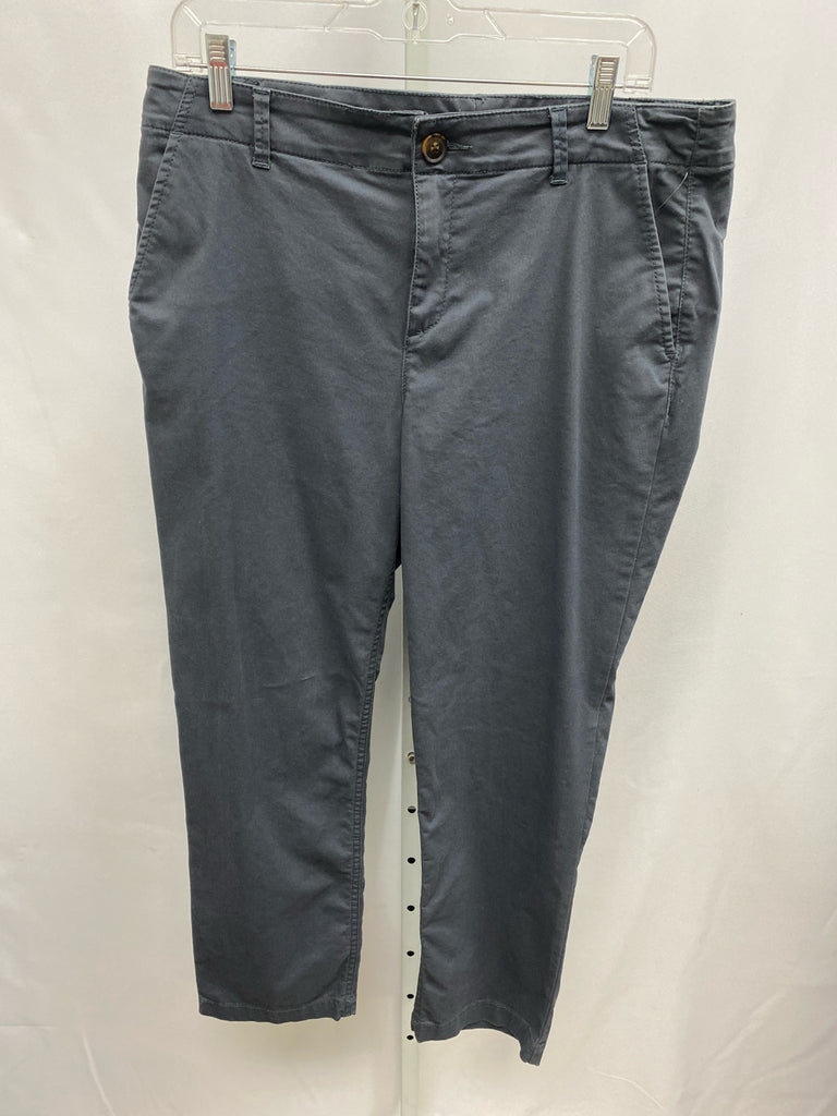 LOFT Size 10 Charcoal Pants