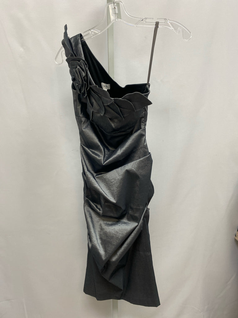 Size 2 Cache' Silver Sleeveless Dress