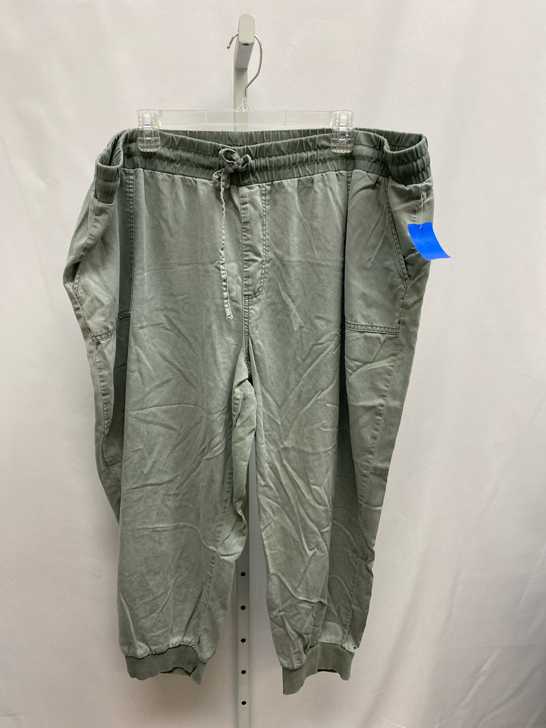 Maurices Size 24 Olive Crop/Capri