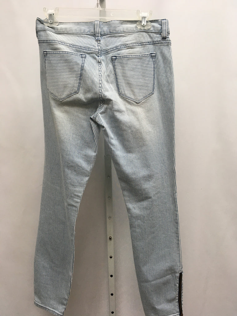 JCrew Size 27 (4) Blue Stripe Jeans