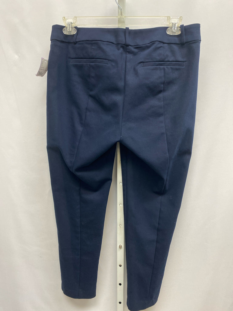 LOFT Size 10 Navy Pants