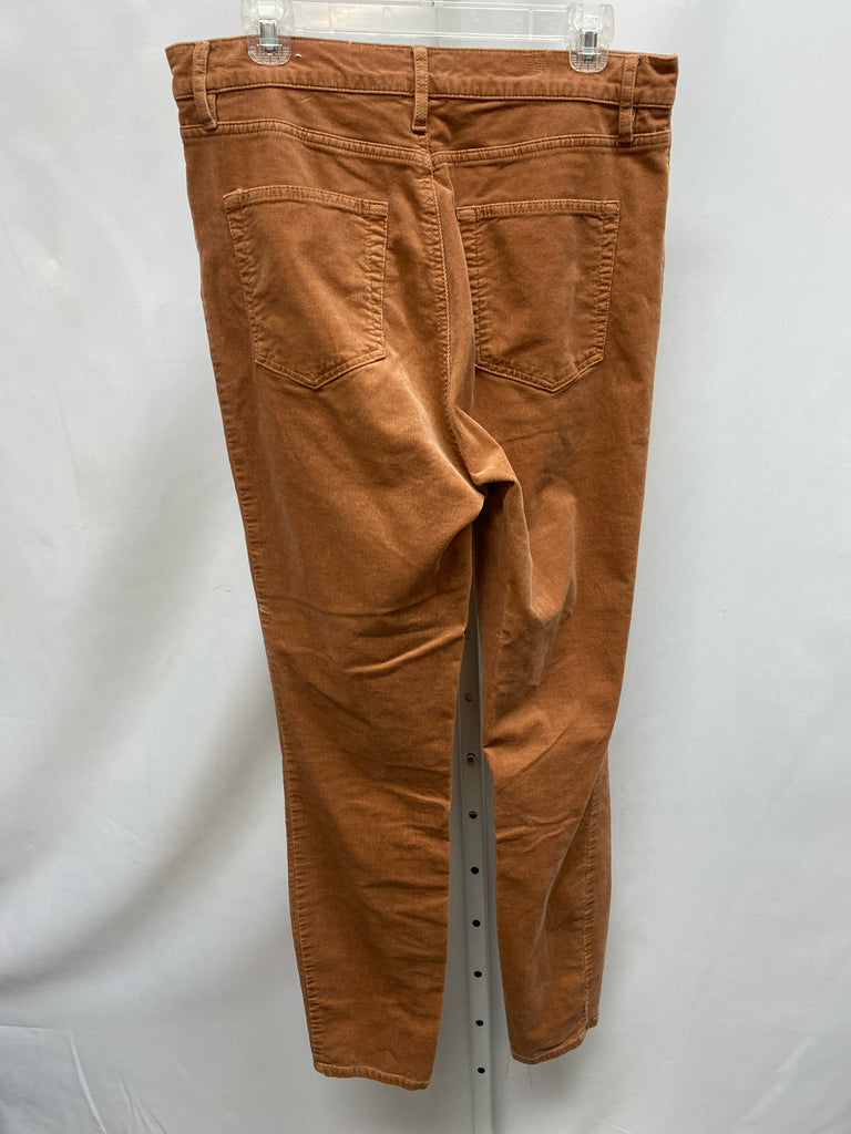 LOFT Size 12 Rust Pants