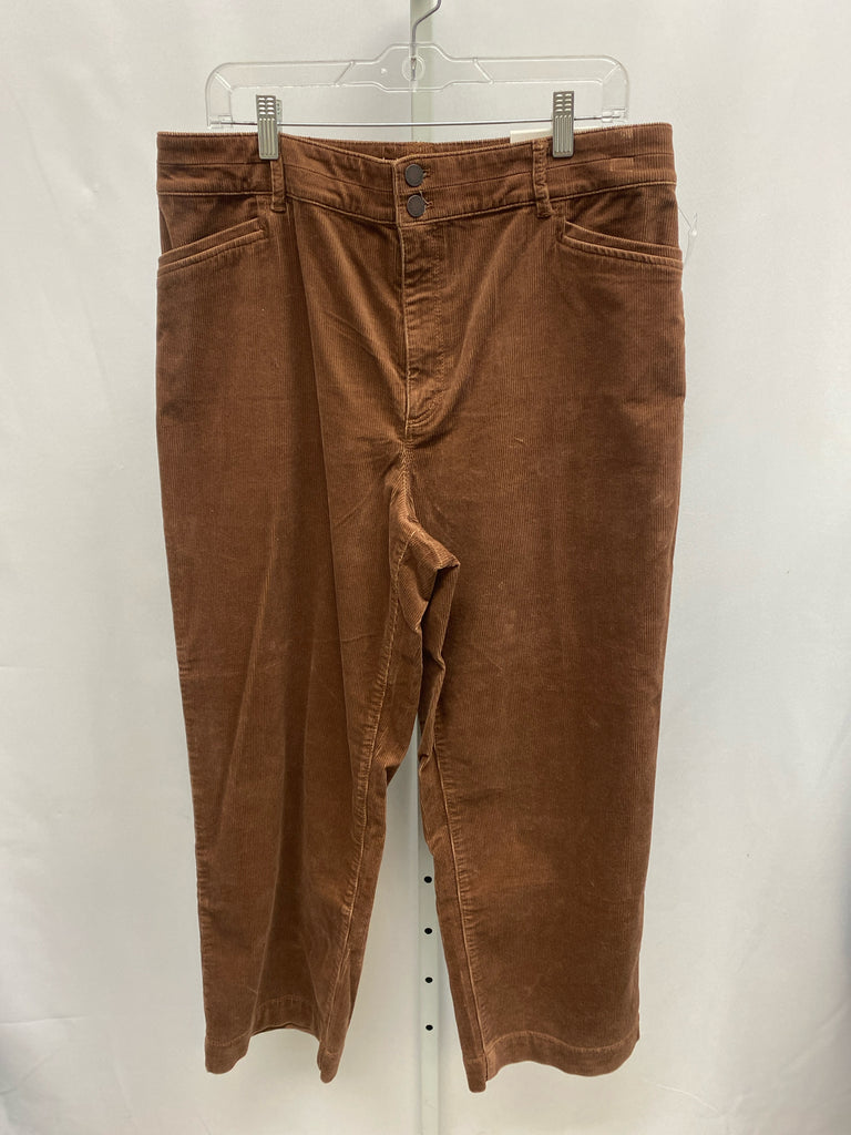 Ann Taylor Size 14 Brown Pants