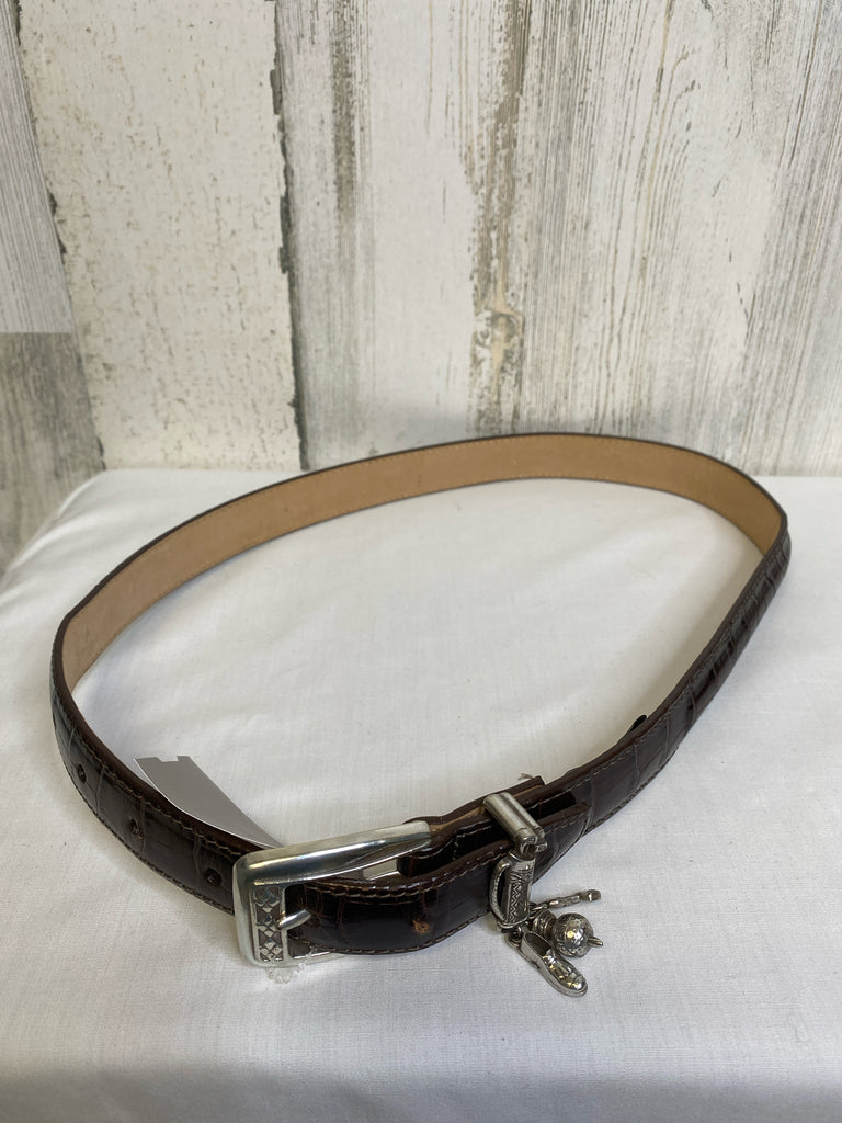 Brighton Brown Belt