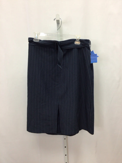 Size 12 Banana Republic Navy Stripe Skirt