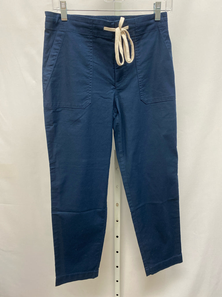 LOFT Size 2 Navy Pants