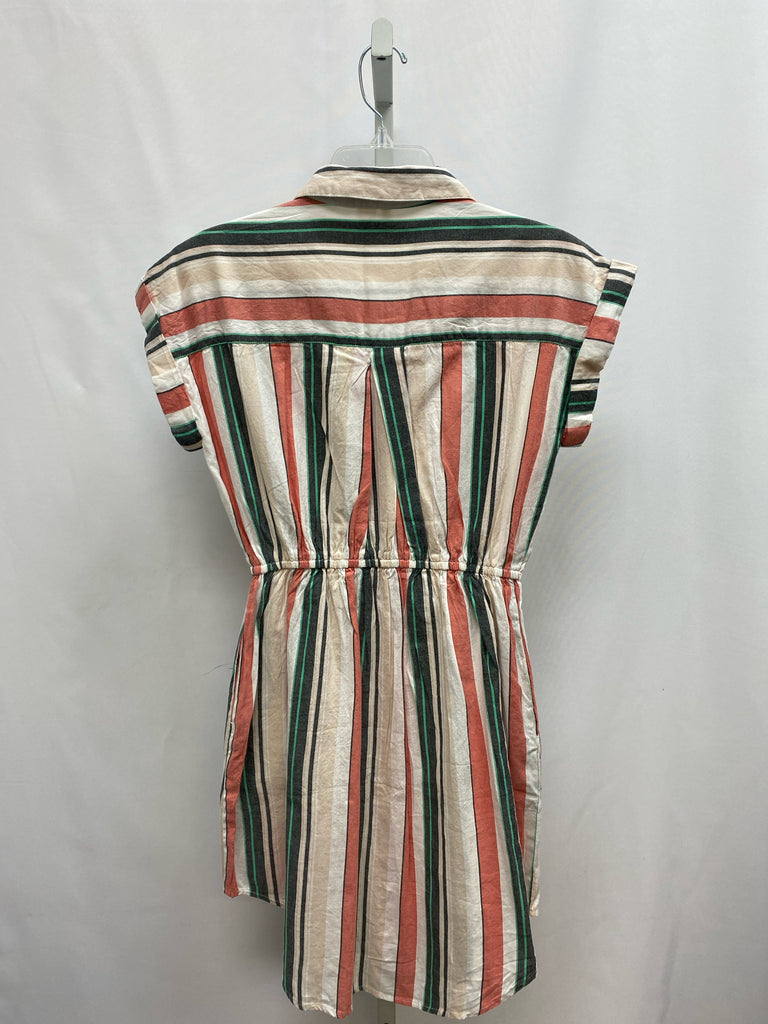 Size Small Japna Cream Stripe Short Sleeve Dress