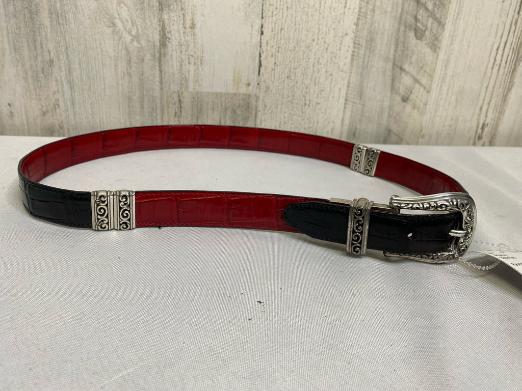 Brighton Black/Red Belt