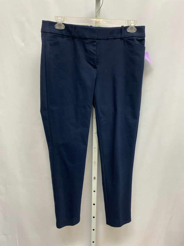 LOFT Size 10 Navy Pants