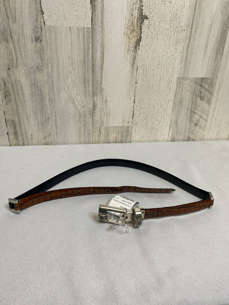 Brighton Black/Brown Belt