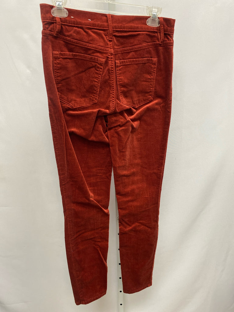 LOFT Size 4 Rust Pants