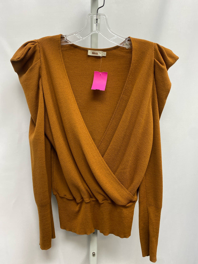 ALC Size Medium Brown Long Sleeve Sweater