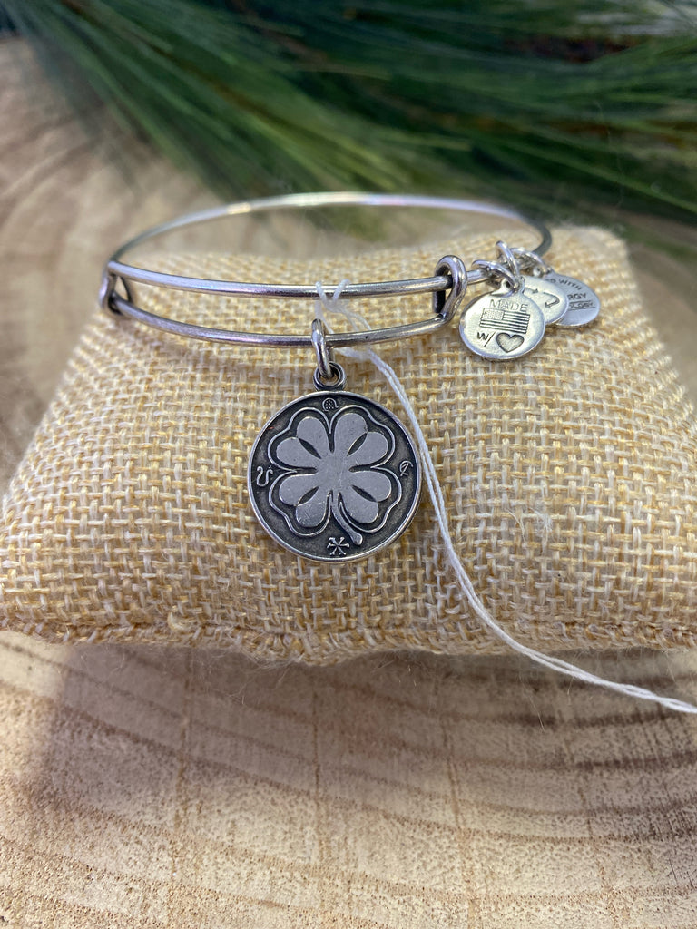 Alex&Ani Silver Bracelet