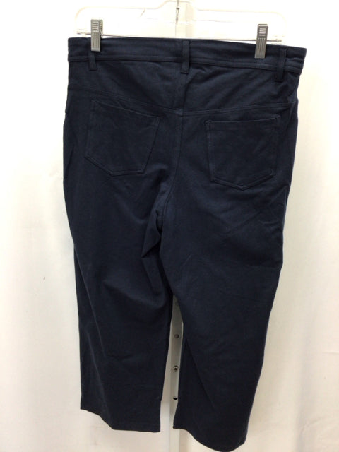 Women with Control Size Small Blue Crop/Capri