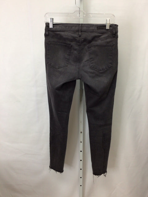 Articles of Society Size 27 (4) Gray Denim Pants
