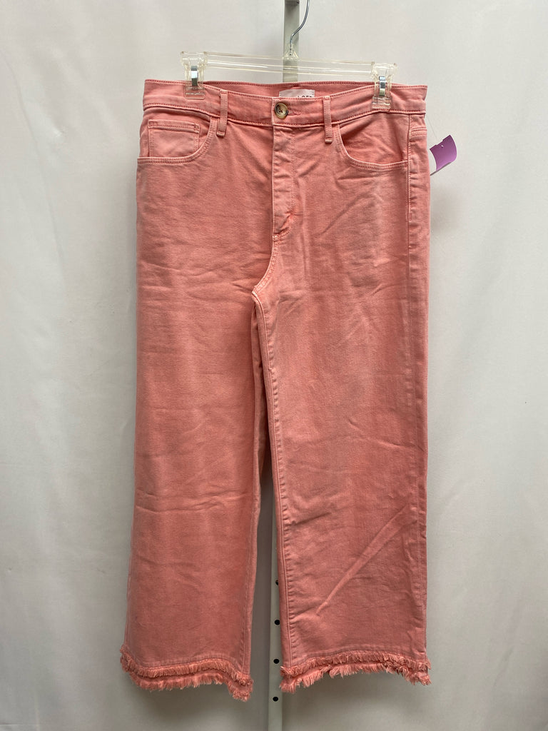 LOFT Size 28 (6) Pink Jeans