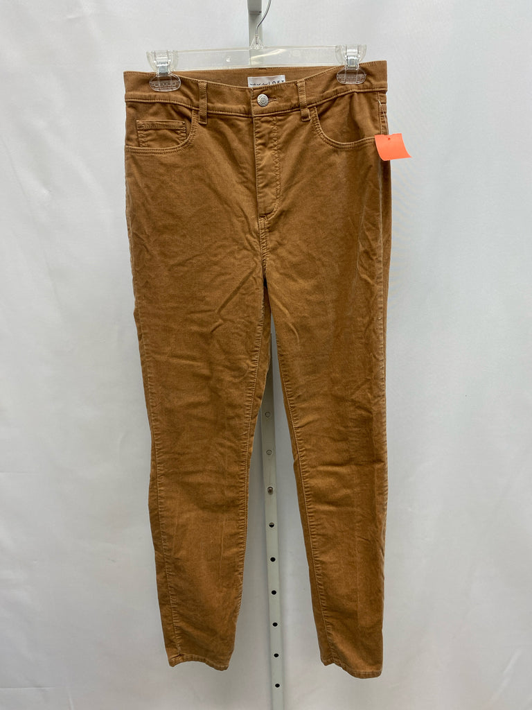 LOFT Size 27 (4) Tan Pants