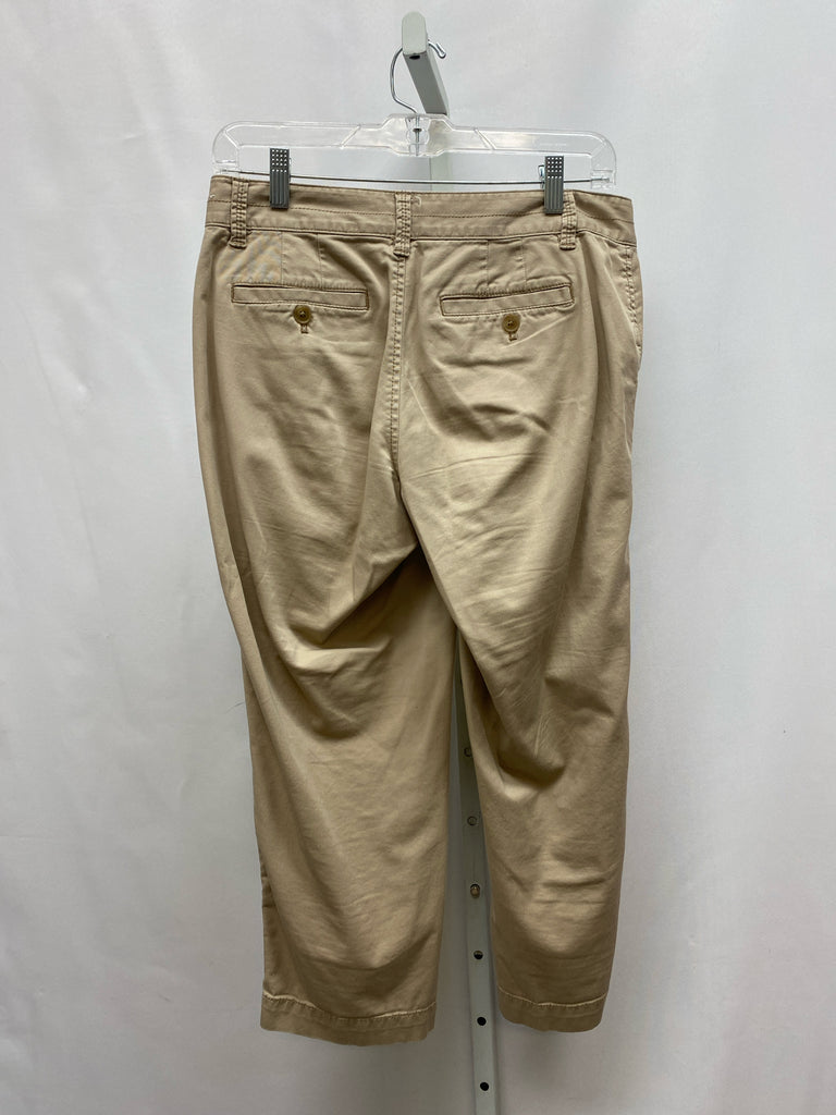 LOFT Size 2 Tan Pants