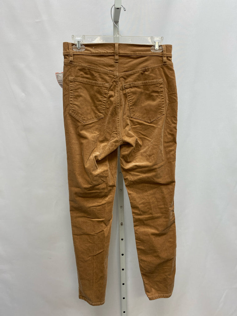 LOFT Size 27 (4) Tan Pants