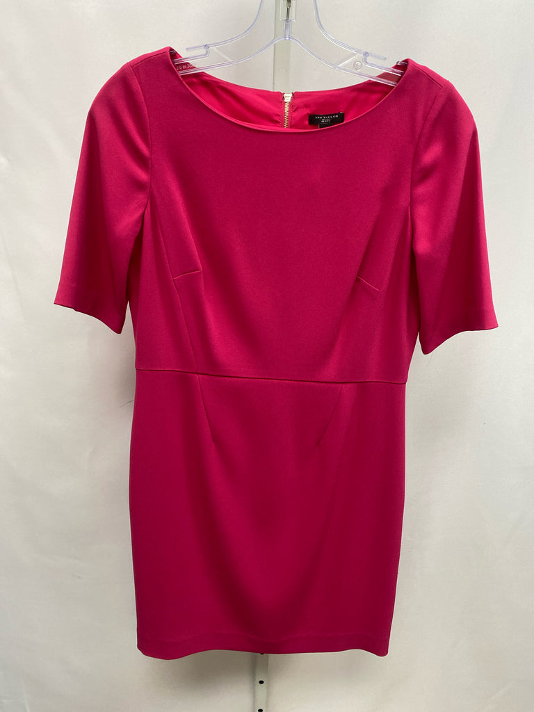 Size 4P Ann Taylor Hot Pink Short Sleeve Dress