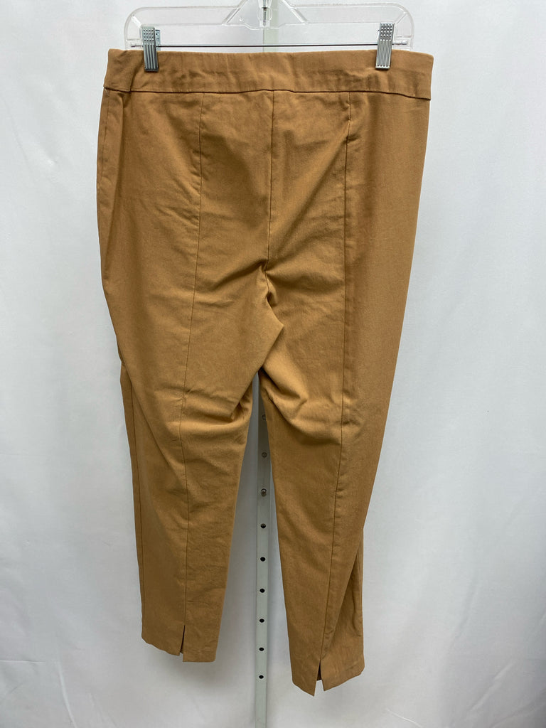 Chico's Size 12 Brown Pants