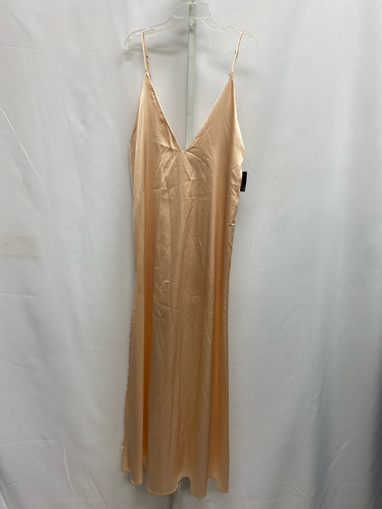 Size Small Champagne Dress