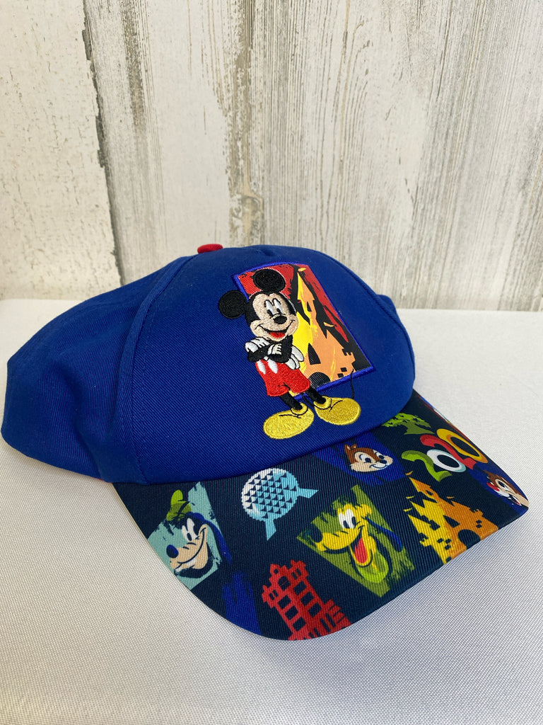 Disney Blue Hat