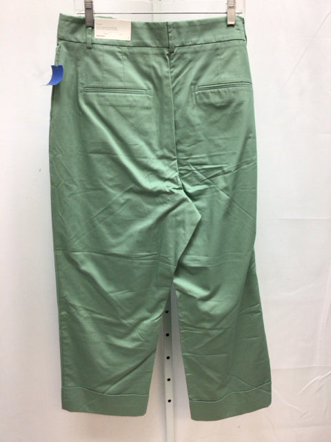 Ann Taylor Size 14 Green Pants