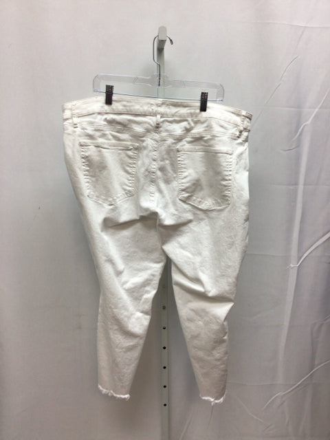 LOFT Size 22 White Jeans