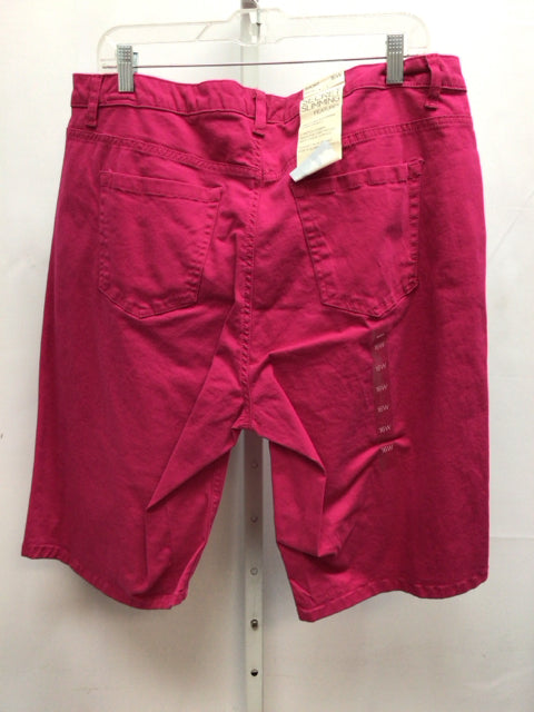 Jones New York Size 16W Pink Shorts