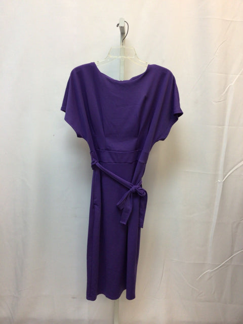Size Medium Purple Short Sleeve Dress