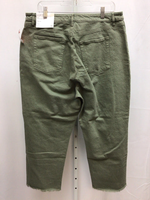 LOFT Size 32 (12) Olive Jeans