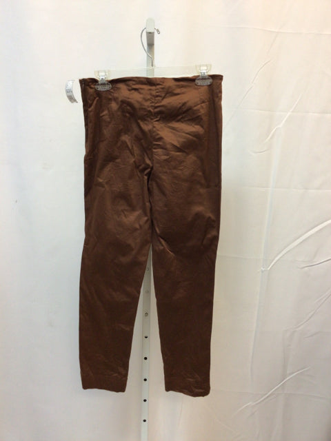 Polvere Size Small Brown Pants