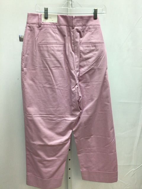 Ann Taylor Size 14 Lavender Pants