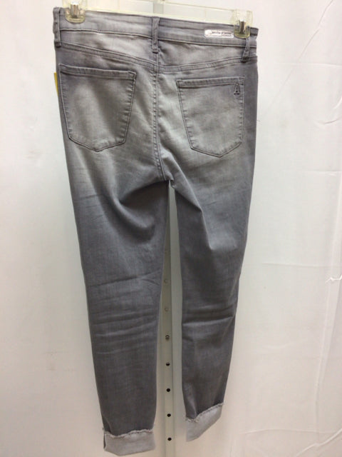 Articles of Society Size 28 (6) Gray Jeggings