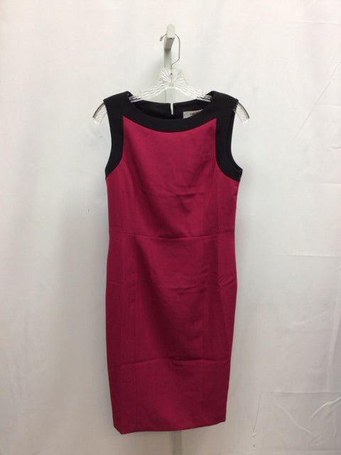 Size 4 Jones Studio Black/Fuschia Sleeveless Dress