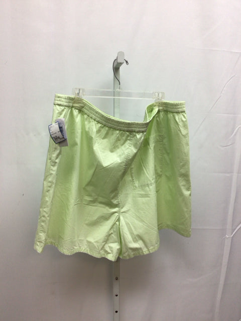 BP Size 3X Mint Shorts