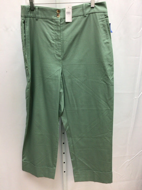 Ann Taylor Size 14 Green Pants