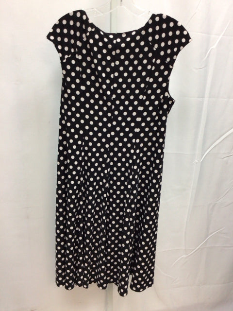 Dressbarn Size 14 Black Dot Short Sleeve Dress