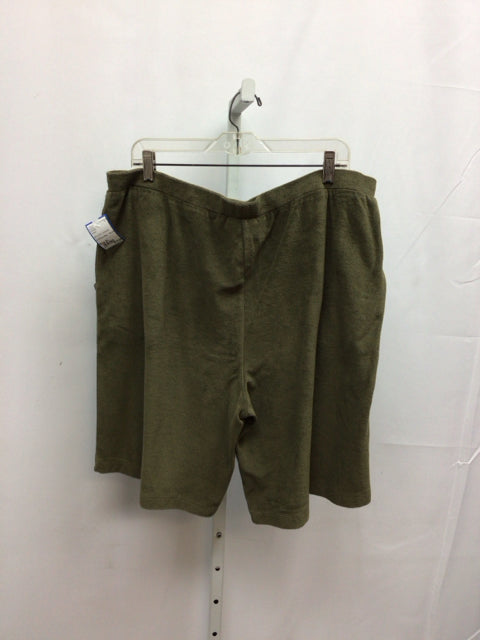 D & Co. Size XL Green Shorts